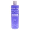 Professional Concentrated Setting Lotion